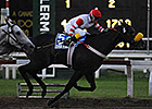 Ever Rider Earns BC Marathon Berth at Palermo Ever Rider Earns BC Marathon Berth at Palermo