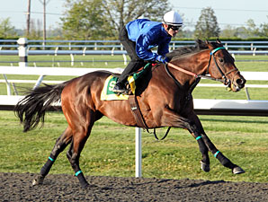 Ever So Lucky Breezes for Blue Grass Ever So Lucky Breezes for Blue Grass