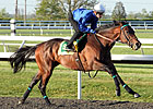 Ever So Lucky Breezes for Blue Grass