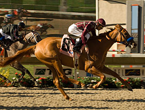 Evita Argentina Flys High, Wins Sorrento Evita Argentina Flys High, Wins Sorrento