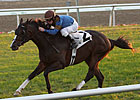 Gantry Favored in Jaipur, His Stakes Debut Gantry Favored in Jaipur, His Stakes Debut