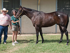 F-T Texas Yearlings Sale has National Appeal F-T Texas Yearlings Sale has National Appeal