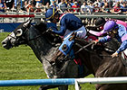 Excaper Proves Best in Tight Connaught Cup Excaper Proves Best in Tight Connaught Cup