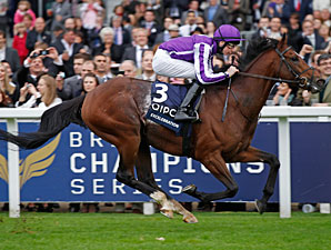 Excelebration Wins QEII On Champions Day Card Excelebration Wins QEII On Champions Day Card