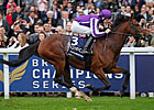 Excelebration Wins QEII On Champions Day Card Excelebration Wins QEII On Champions Day Card