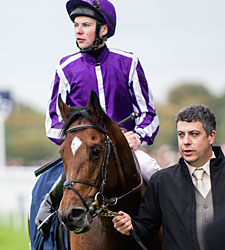 Excelebration Exceeds and Excels Sans Frankel Excelebration Exceeds and Excels Sans Frankel