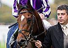 Excelebration Exceeds and Excels Sans Frankel Excelebration Exceeds and Excels Sans Frankel