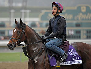 O'Brien's Starters Lead Euro Exercise Nov. 1 O'Brien's Starters Lead Euro Exercise Nov. 1