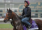 O'Brien's Starters Lead Euro Exercise Nov. 1 O'Brien's Starters Lead Euro Exercise Nov. 1
