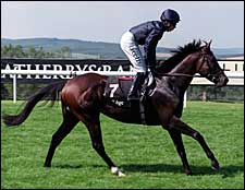 Excellent Art Draws Outside, Favored in Mile Excellent Art Draws Outside, Favored in Mile