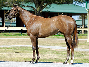 Noble Exchange Works Fastest Quarter at OBS Noble Exchange Works Fastest Quarter at OBS