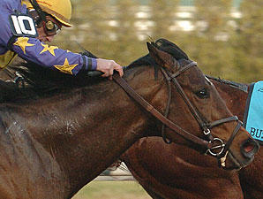Bold Ruler Field Strong, Well-Matched Bold Ruler Field Strong, Well-Matched