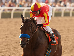 Executiveprivilege to Run in Starlet Dec. 8 Executiveprivilege to Run in Starlet Dec. 8