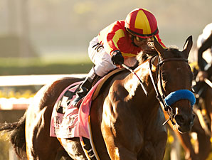 Executiveprivilege Puts Unbeaten Mark on Line Executiveprivilege Puts Unbeaten Mark on Line