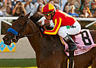 Executiveprivilege a First Samurai Exception Executiveprivilege a First Samurai Exception