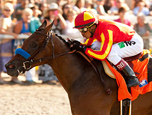 Unbeaten Executiveprivilege Heads Debutante Unbeaten Executiveprivilege Heads Debutante