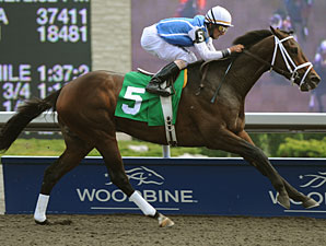 Improving Colts Headline West Virginia Derby Improving Colts Headline West Virginia Derby