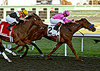 Exit Stage Left Steals Cal Derby Spotlight Exit Stage Left Steals Cal Derby Spotlight