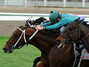 Fair Grounds 'Cap: Expansion Finds Right Spot Fair Grounds 'Cap: Expansion Finds Right Spot