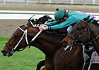 Fair Grounds 'Cap: Expansion Finds Right Spot Fair Grounds 'Cap: Expansion Finds Right Spot