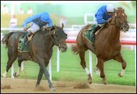 Haskin's Derby Report April 1: The Day of Godolphin Haskin's Derby Report April 1: The Day of Godolphin