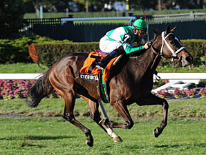 Eye of Taurus Delivers in Athenia Eye of Taurus Delivers in Athenia