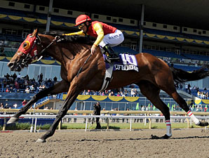 Royally-bred 'Leopard' Eyes Queen's Plate Royally-bred 'Leopard' Eyes Queen's Plate