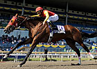 Royally-bred 'Leopard' Eyes Queen's Plate Royally-bred 'Leopard' Eyes Queen's Plate