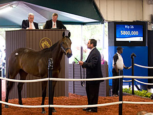 Empire Maker Colt Brings $800,000 at F-T Sale Empire Maker Colt Brings $800,000 at F-T Sale