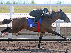 Horses to Watch at Fasig-Tipton Florida Sale Horses to Watch at Fasig-Tipton Florida Sale