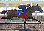 Horses to Watch at Fasig-Tipton Florida Sale Horses to Watch at Fasig-Tipton Florida Sale