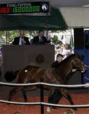 Highest Price Ever Helps Fasig-Tipton Set Juvenile Sale Records Highest Price Ever Helps Fasig-Tipton Set Juvenile Sale Records