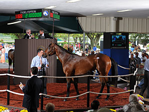 Street Cry Colt Brings $2.1 Million Street Cry Colt Brings $2.1 Million