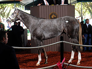 Unbridled's Song Colt Brings $1.1M Unbridled's Song Colt Brings $1.1M