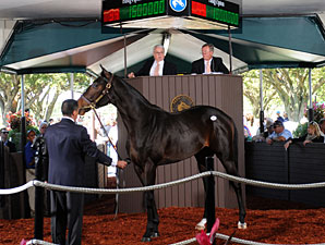 Cup o' Joe Sells for $1.6 Million Cup o' Joe Sells for $1.6 Million