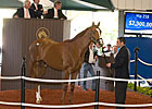 Average Grows 9.3% at F-T Juvenile Sale Average Grows 9.3% at F-T Juvenile Sale