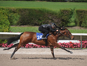 Fasig-Tipton Calder Data Digest Fasig-Tipton Calder Data Digest