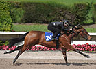 Fasig-Tipton Calder Data Digest Fasig-Tipton Calder Data Digest