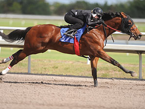Woods' Juveniles Shine in F-T Under Tack Show Woods' Juveniles Shine in F-T Under Tack Show
