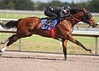 Woods' Juveniles Shine in F-T Under Tack Show Woods' Juveniles Shine in F-T Under Tack Show
