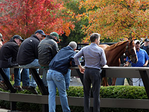 Records Fall as Fasig-Tipton Oct. Sale Ends Records Fall as Fasig-Tipton Oct. Sale Ends