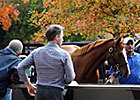 Records Fall as Fasig-Tipton Oct. Sale Ends Records Fall as Fasig-Tipton Oct. Sale Ends