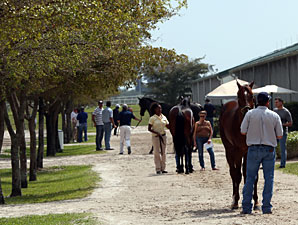 Fasig-Tipton Sale Average, Median Up Fasig-Tipton Sale Average, Median Up
