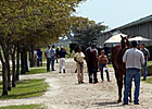 Fasig-Tipton Sale Average, Median Up Fasig-Tipton Sale Average, Median Up