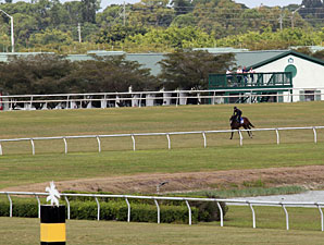 Optimism Reigns at Fasig-Tipton Sale Monday Optimism Reigns at Fasig-Tipton Sale Monday