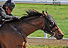 Two Share Fastest Furlong Time at F-T Show