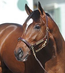 Average, Median Rise at F-T Florida Sale Average, Median Rise at F-T Florida Sale