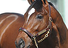Average, Median Rise at  F-T Florida Sale
