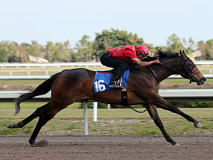 Seven Work Fastest Furlong at Fasig-Tipton Seven Work Fastest Furlong at Fasig-Tipton