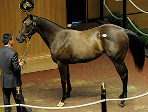 Exchange Rate Filly Leads Way at FT Exchange Rate Filly Leads Way at FT